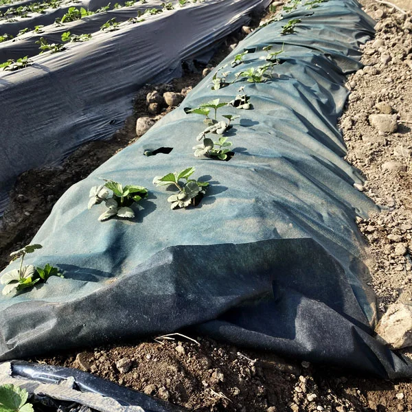img-producto-mulch-pro-03